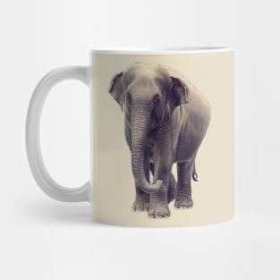 Asian Elephant Mug